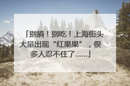 别摘！别吃！上海街头大量出现“红果果”，很多人忍不住了……